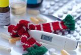 «Горячая линия» по вопросам профилактики ОРВИ и гриппа начала свою работу в Вологодской области