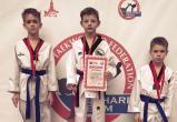 Юные тхэквондисты из Вологды завоевали 7 медалей на турнире в Москве