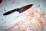 44-летнего вологжанина друг зарезал на застолье в его собственном доме 