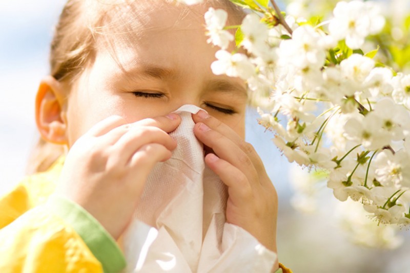 Поллиноз: как избежать опасной весенней аллергии? 