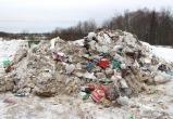 Череповецкому бизнесмену грозит штраф за то, что выгрузил мусор на землю