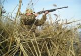 С 16 апреля в Вологодской области начнут принимать заявления на сезон охоты