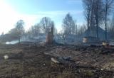 Крупный пожар под Череповцом: дачная деревня превратилась в пепелище