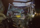 Под Вологдой ночью столкнулись два грузовика, три человека пострадали