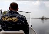 Взятку в 300 кг налима требовал инспектор рыбоохраны у жителей Вытегорского района 
