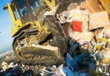 40-летнюю свалку отходов ФМК в Череповце ликвидируют по суду