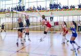 В Вологде проходят Всероссийские соревнования студенческих команд по волейболу