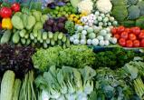 Роспотребнадзор выявил, что доля овощей с нитратами в 2018 году выросла почти в два раза