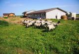 В Вологодской области на участках для фермерского хозяйства разрешат строить дома