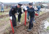 Полицейские и кадеты из Вологды помогли лесу