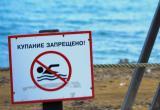 В Череповце из-за кишечной палочки запретили купаться на трех пляжах
