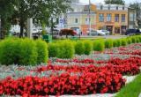 В Вологде стартовал прием заявок на участие в проекте «Цветущий город»