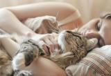 Врачи предупреждают: кошке не место в постели из-за серьезных инфекций и паразитов