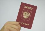 Мобильное приложение вместо паспорта: новые инициативы правительства