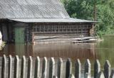 В Тарногском районе река Лохта вышла из берегов и затопила дома