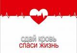 Станция переливания крови N1 в Вологде приглашает 3 августа на «донорскую субботу» 