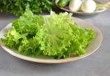Зачем нужно включать в рацион зеленые листовые салаты