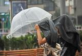 Резкое похолодание и дожди: синоптики о погоде на неделю