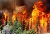 40 шаманов на Байкале будут спасать леса Сибири. Лесные пожары в России охватили площадь в 3 млн га