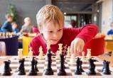  С 1-го сентября этого года школьники в обязательном порядке будут учиться играть в шахматы