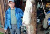 Житель Череповецкого района Алексей Морозов вытащил в Рыбинском водохранилище гигантского сома