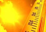 МЧС и Гидрометцентр предупредили об аномальной жаре