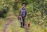В Вашкинском районе охотник выстрелил в голову домашней собаке 