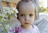 Стало известно о состоянии 2-летней девочки, найденной на Вологодчине