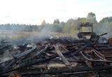Пилорама сгорела в Кирилловском районе