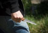 В Вологде полицейский выстрелил в неадекватного мужчину с ножом