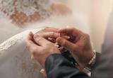 За полгода в Вологодской области официально мужем и женой стали 2567 пар