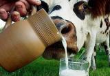 Вологодского производителя молока порекомендовали эксперты «Росконтроля»