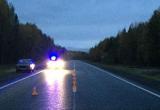 Неизвестный водитель сбил и бросил умирать на дороге женщину в Чагодощенском районе