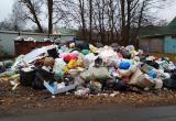 Вологжане дважды уплачивают дополнительную комиссию за вывоз мусора