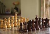 В Вологде определят лучшего шахматиста среди юных жителей