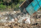Новый Шиес? В Тарноге и Нюксенице назревает бунт против завоза соседского мусора 