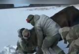 В Вологодской области заезжие браконьеры задушили беременную лосиху 