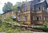 Фото Илья Соколов: 28 июня, Вологда, улица Левичева, 40 - последствия грозы 