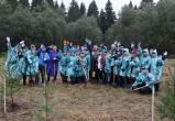Акция «Сохраним лес» состоялась на Вологодчине