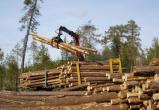 Специалисты  ООО «Вологодский лес» завершили обучение в рамках нацпроекта «Производительность труда»