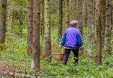 66-летнюю потерявшуюся бабушку продолжают искать в лесах Тотемского района 