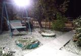 В Вологодской области 28 сентября выпал первый осенний снег 