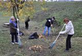 Осенние субботники в Вологде пройдут на сотне городских территорий