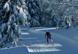 В Вологодской области этой зимой готовят 41 лыжную трассу