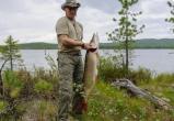Президент РФ огорчен: в России падает потребление рыбы