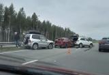 В Вологодской области мучительную смерть приняла автоледи, выйдя из своего «паркетника» на трассе…