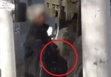 Появилось видео задержания террористки, которая заминировала автомобиль ВС РФ в Запорожье