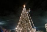 Новогодняя ель в центре Вологды подключена и готова к праздникам, сообщил мэр города