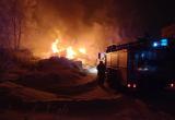Появились подробности серьезного пожара на заброшенном ССРЗ в Вологодской области