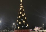 На следующей неделе в Вологде уберут главную новогоднюю ель